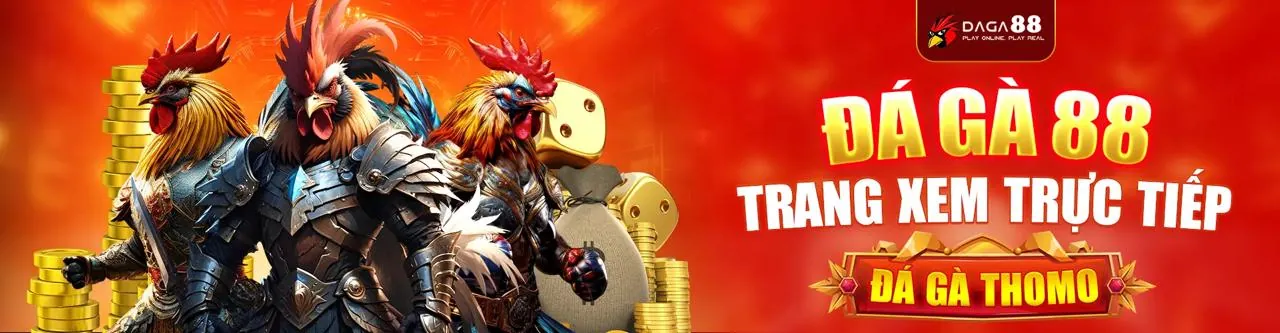 Sân đấu đá gà trực tuyến 13win20 với không khí sôi động